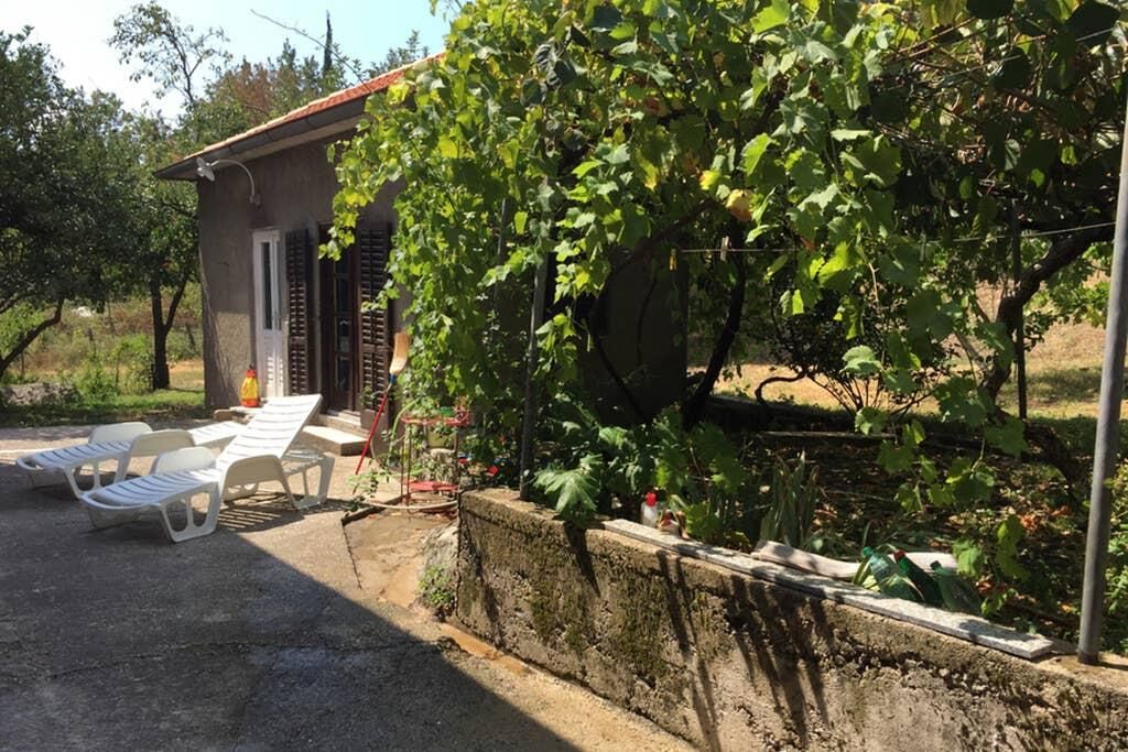 Апартаменты Old Fig Tree Holiday House Игало