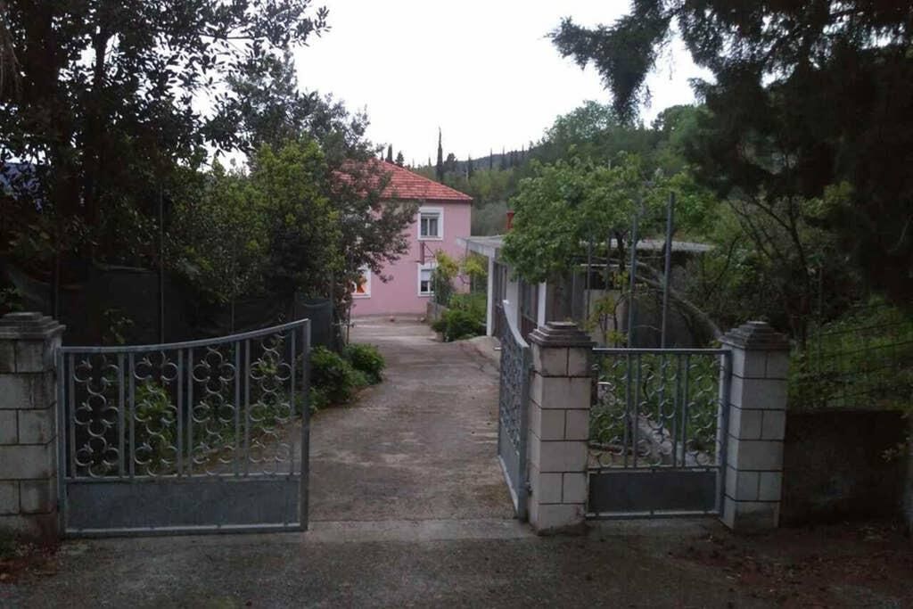 Апартаменты Old Fig Tree Holiday House Игало