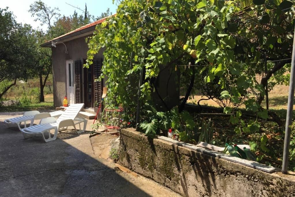 Апартаменты Old Fig Tree Holiday House Игало