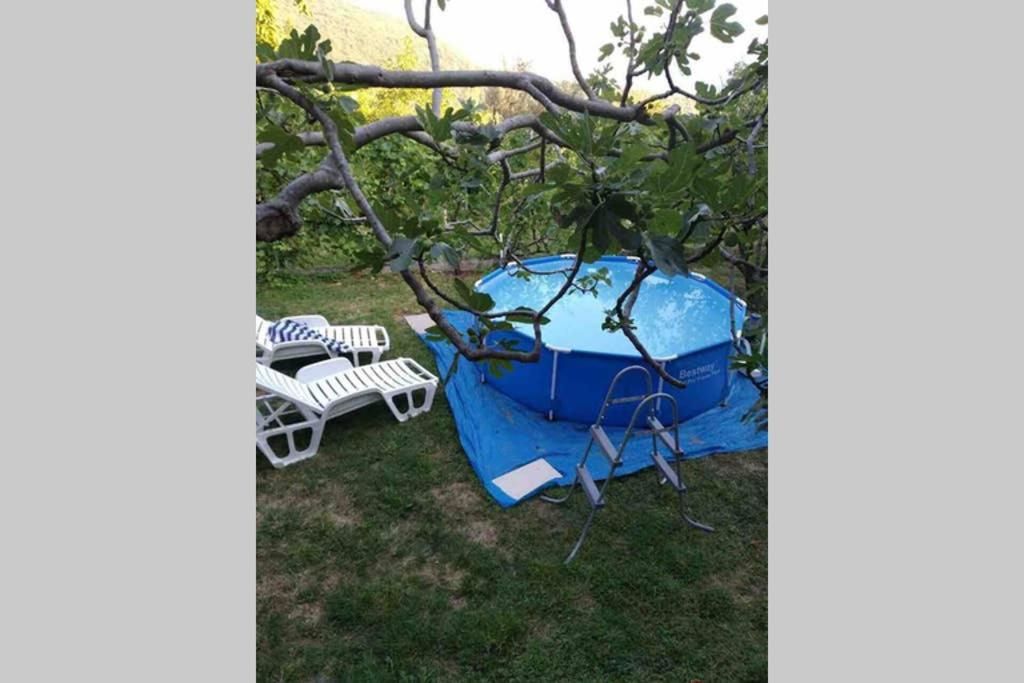 Апартаменты Old Fig Tree Holiday House Игало