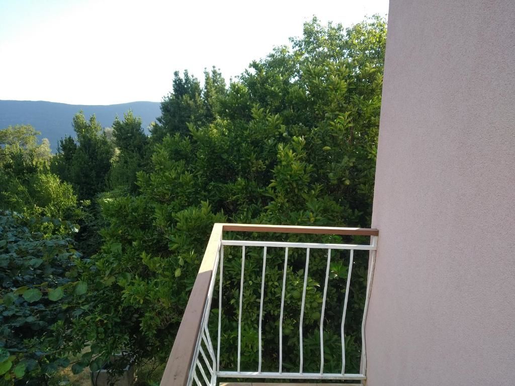 Апартаменты Old Fig Tree Holiday House Игало