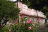 Апартаменты Old Fig Tree Holiday House Игало-1