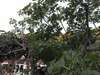 Апартаменты Old Fig Tree Holiday House Игало-2