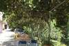 Апартаменты Old Fig Tree Holiday House Игало-3