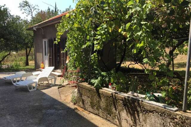 Апартаменты Old Fig Tree Holiday House Игало-30