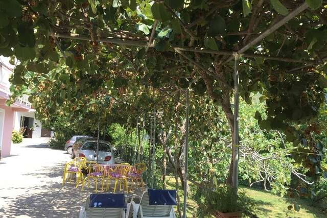 Апартаменты Old Fig Tree Holiday House Игало-6